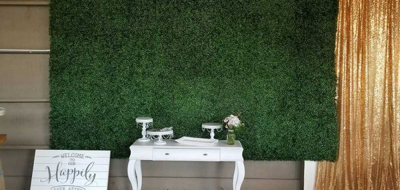 Boxwood Backdrop (1)