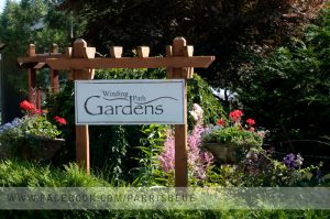 Winding Path Gardens